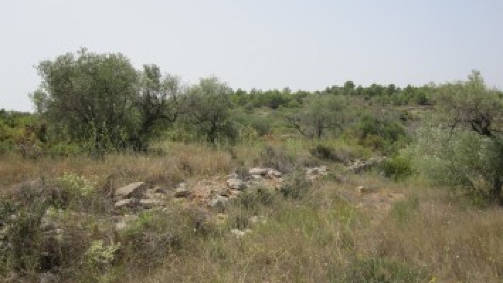 MPS-200