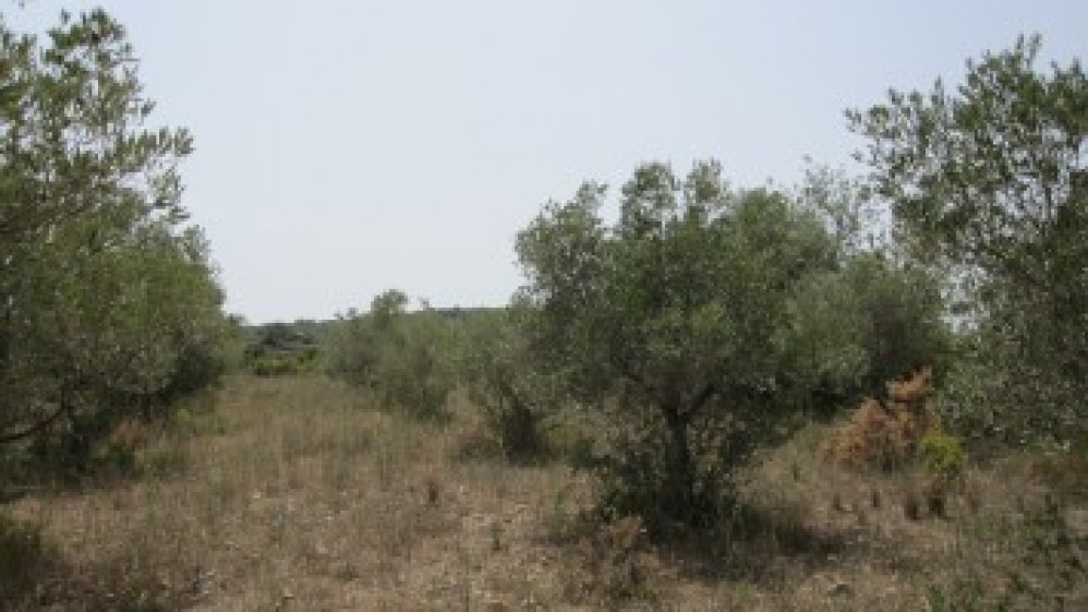 MPS-200