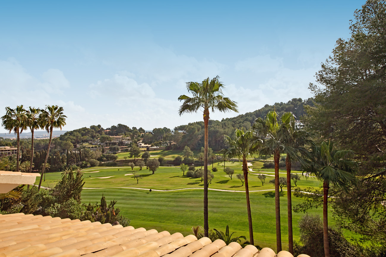 6037ffd12a5c4907802fff9d