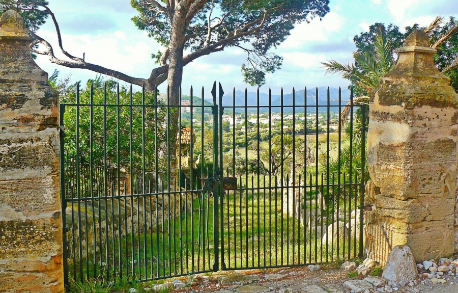 09dad4a644cf4e7edd2e0dd7a337d51f_XL