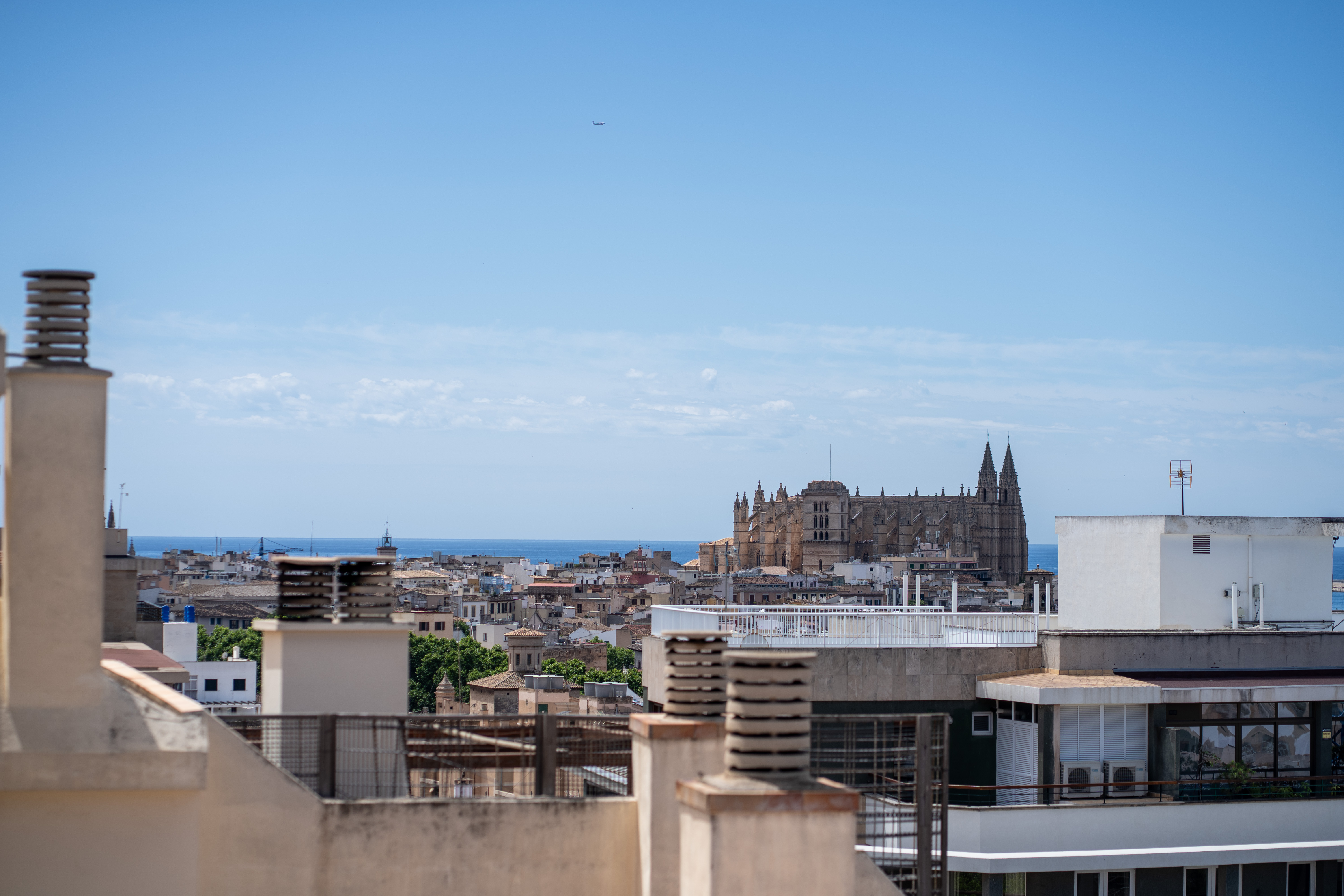 Palma