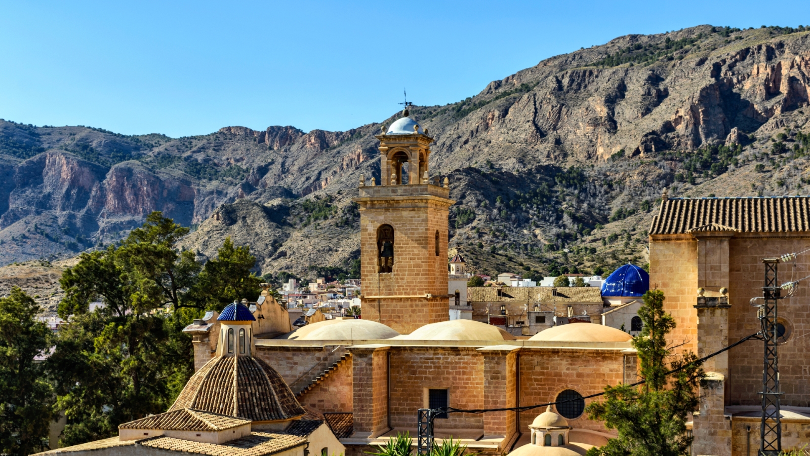 shutterstock 1373273393 - Orihuela