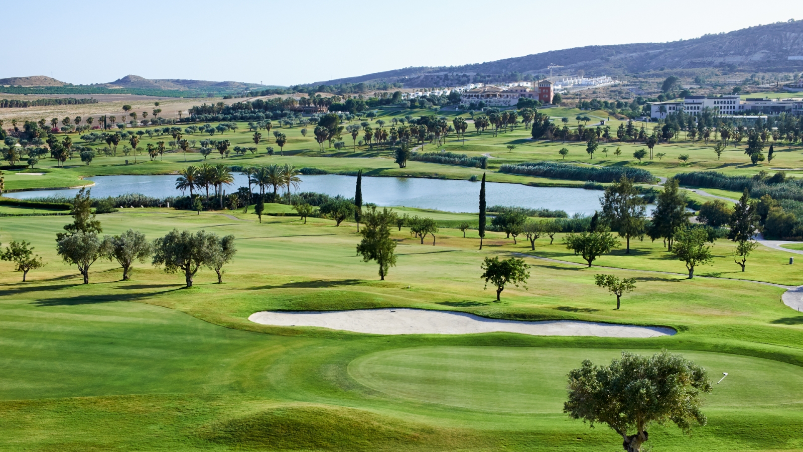 shutterstock 616957586 - Algorfa