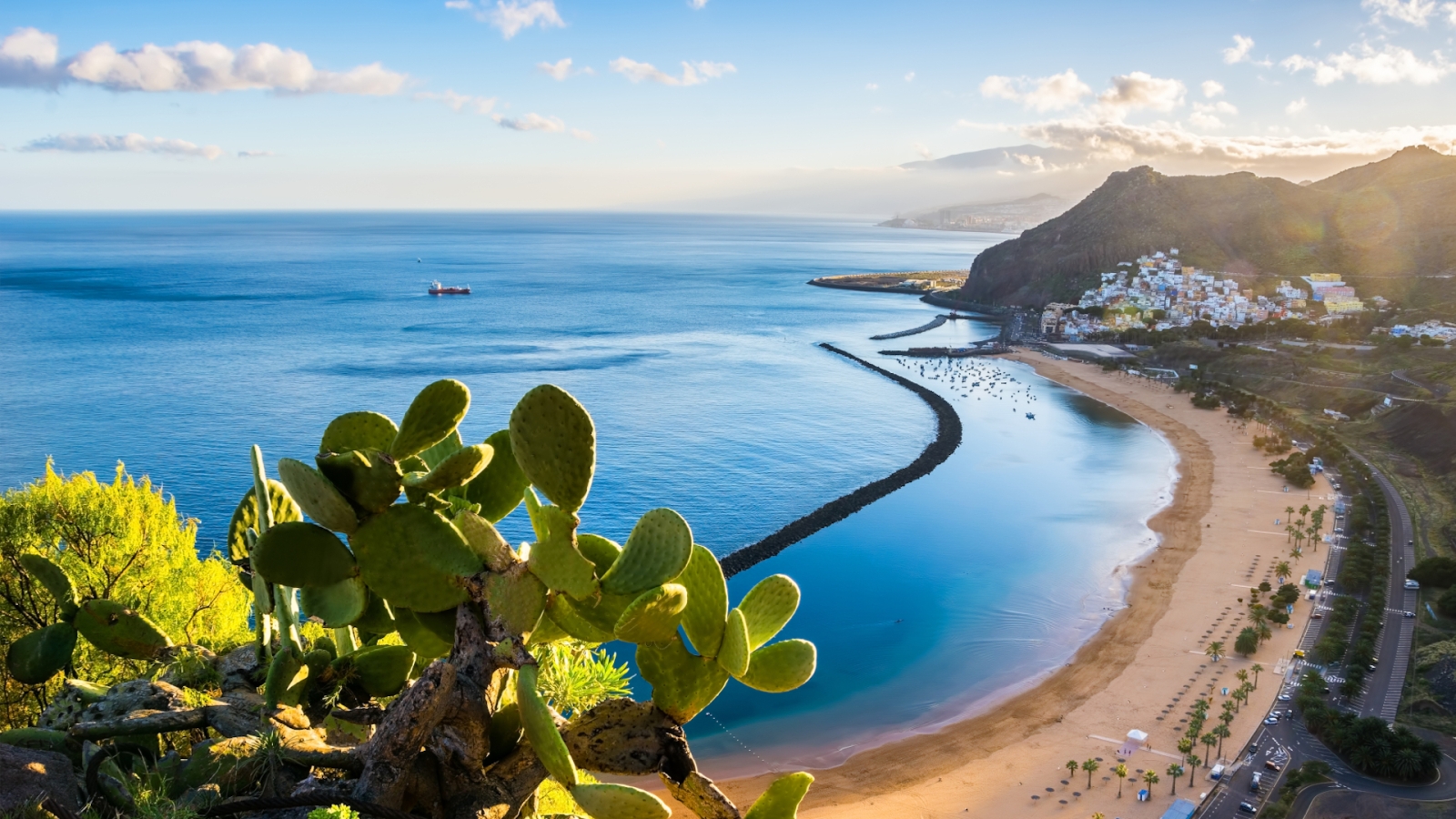 shutterstock 622717052 - Santa Cruz de Tenerife