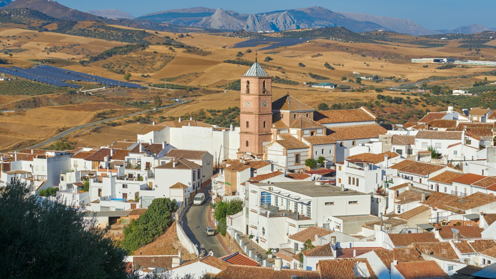 shutterstock 1502315117 - Casabermeja