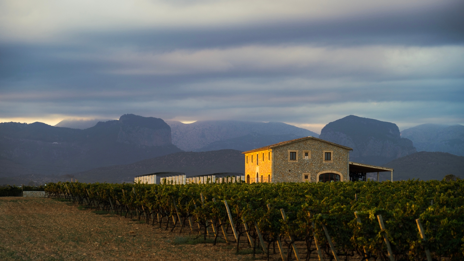 shutterstock 1525838735 - Sencelles