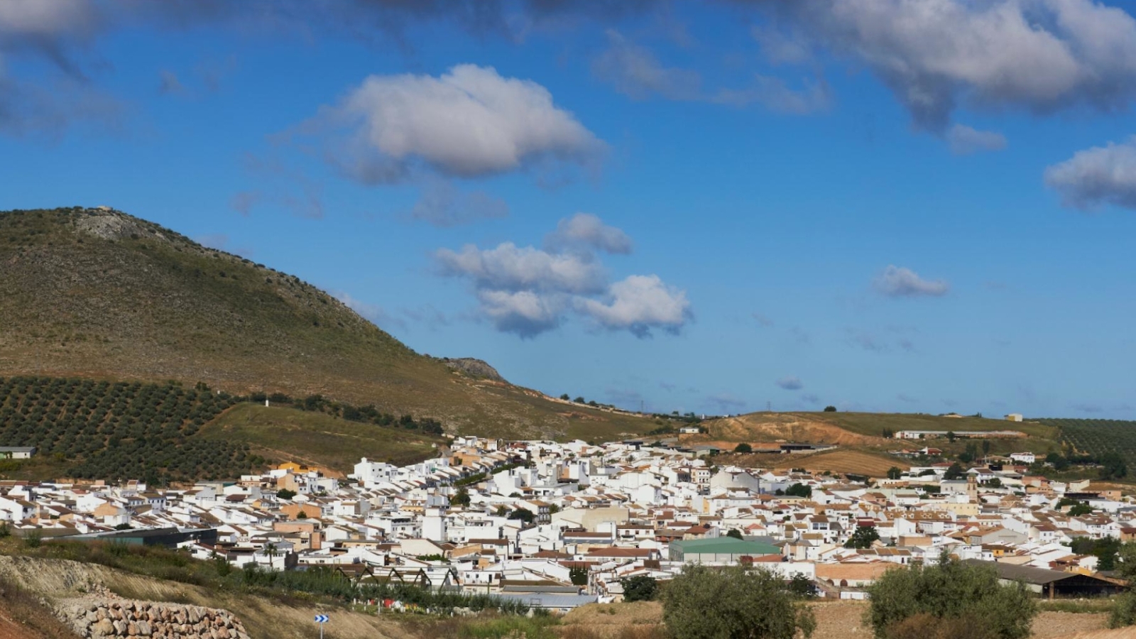 shutterstock 2072762360 - Alameda