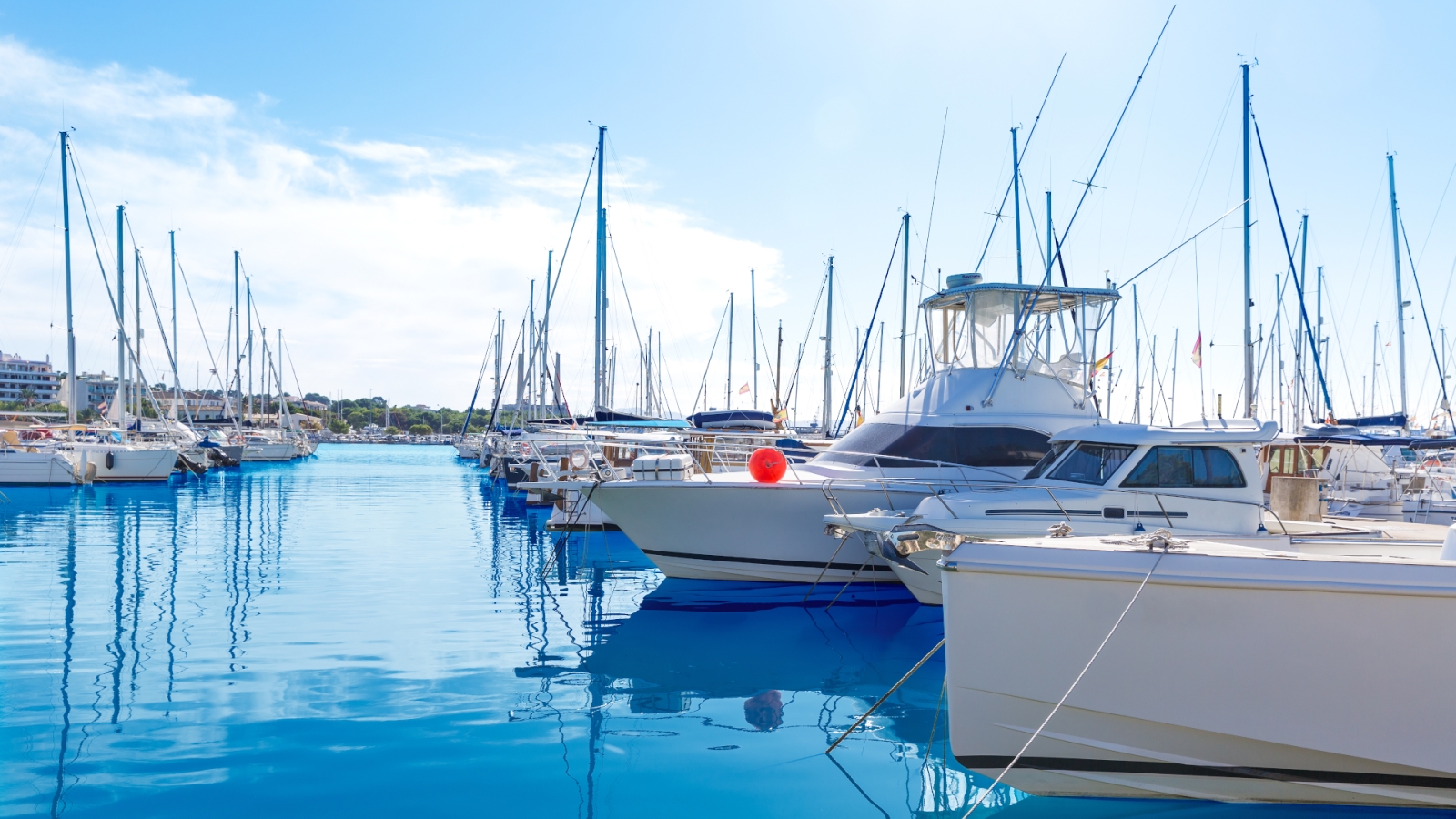 shutterstock 263998277.jpg - Puerto de Platja de Alcudia, Mallorca