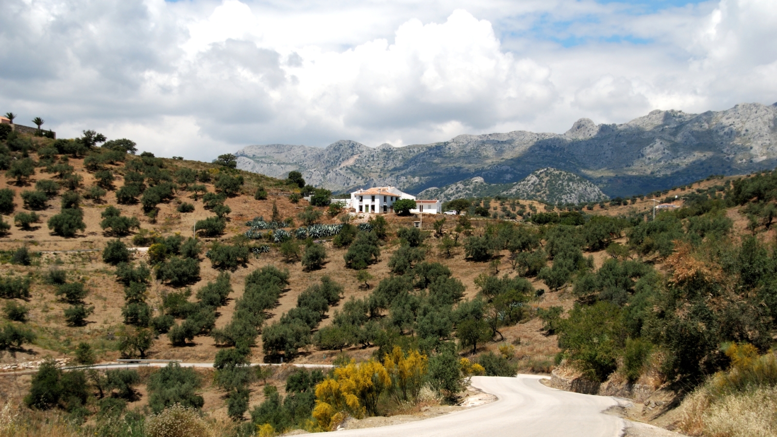 shutterstock 98537417 - Periana