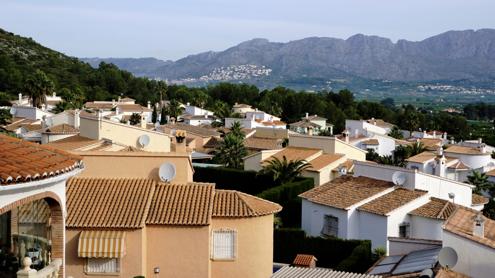 shutterstock 1022462863 - Pedreguer