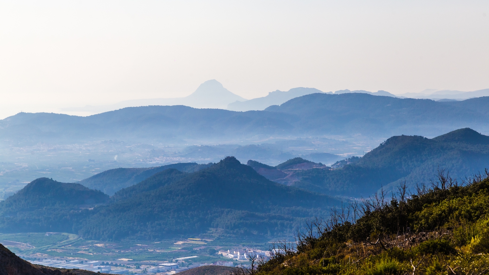 shutterstock 1185923854 - Xeresa