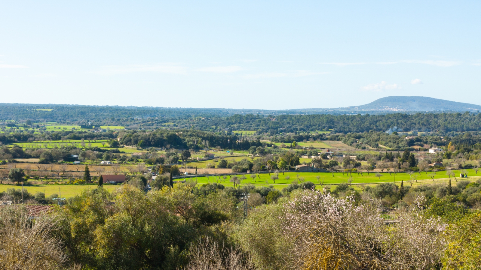 shutterstock 1196383540 - Costitx