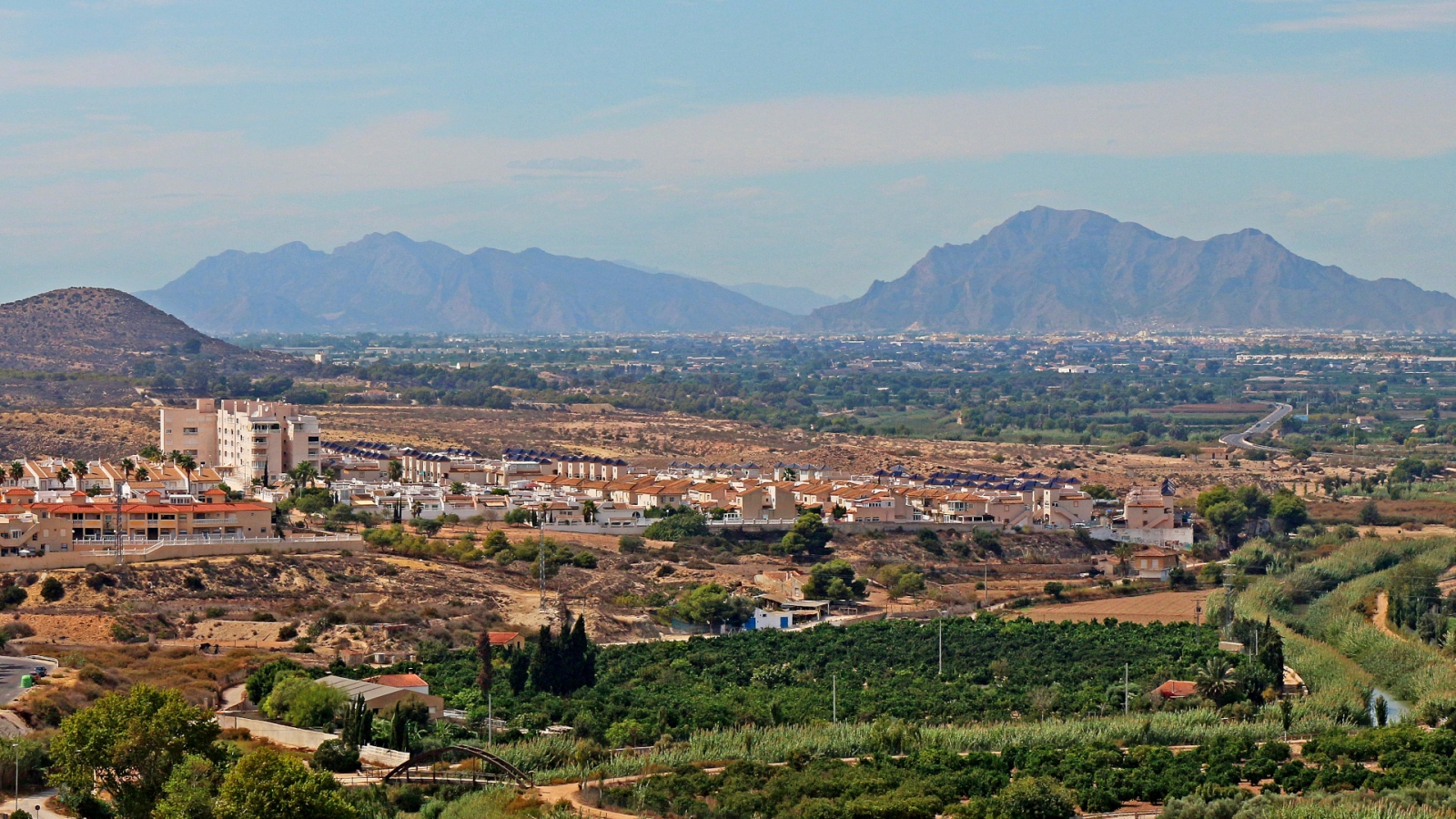 shutterstock 1295053762