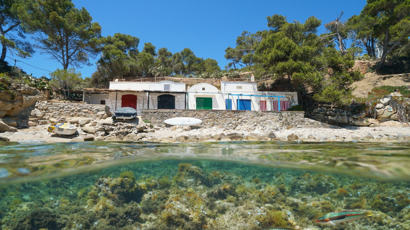 shutterstock 1536465413 - Palamós