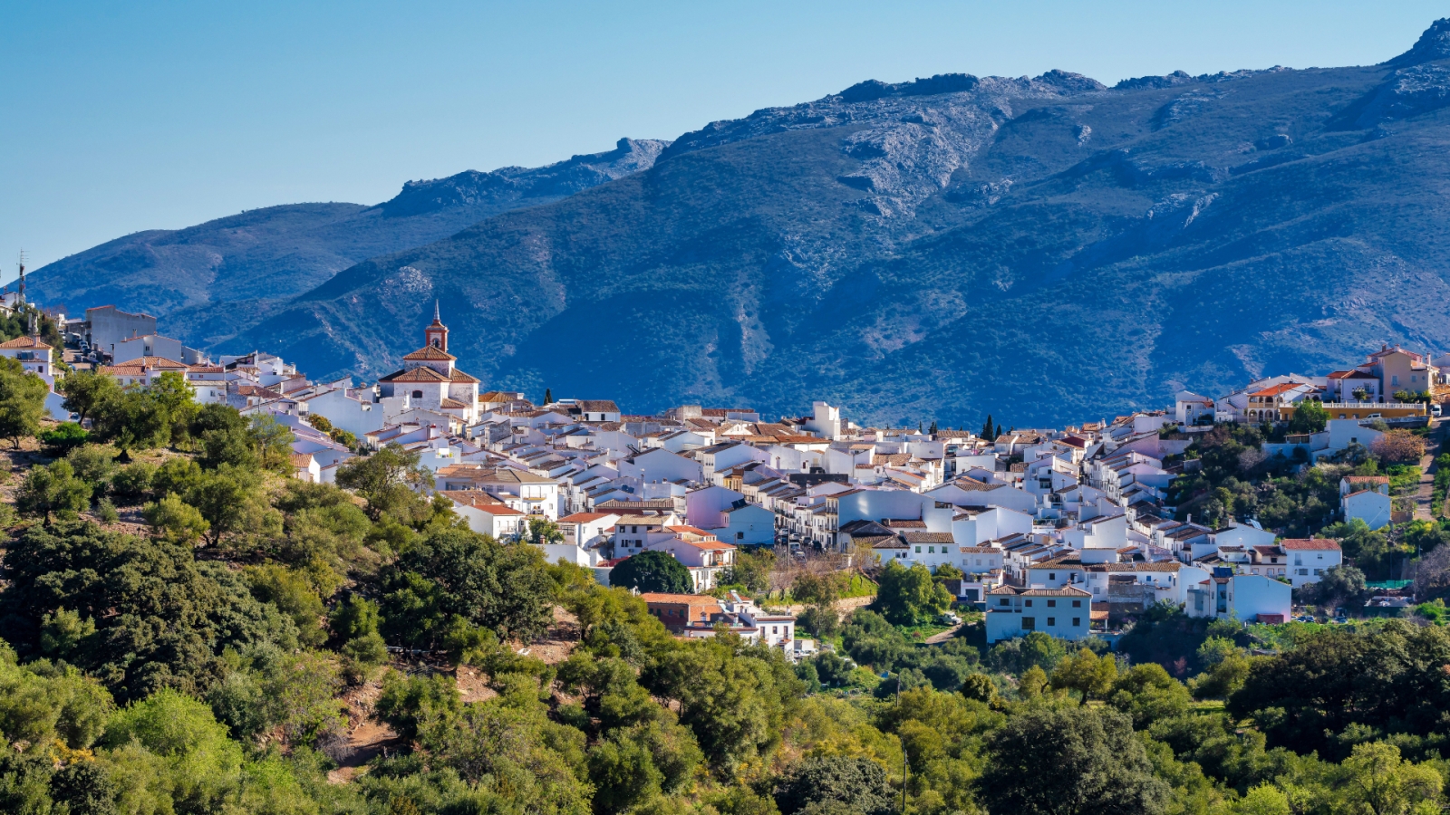 shutterstock 1564702894 - Cortes de la Frontera