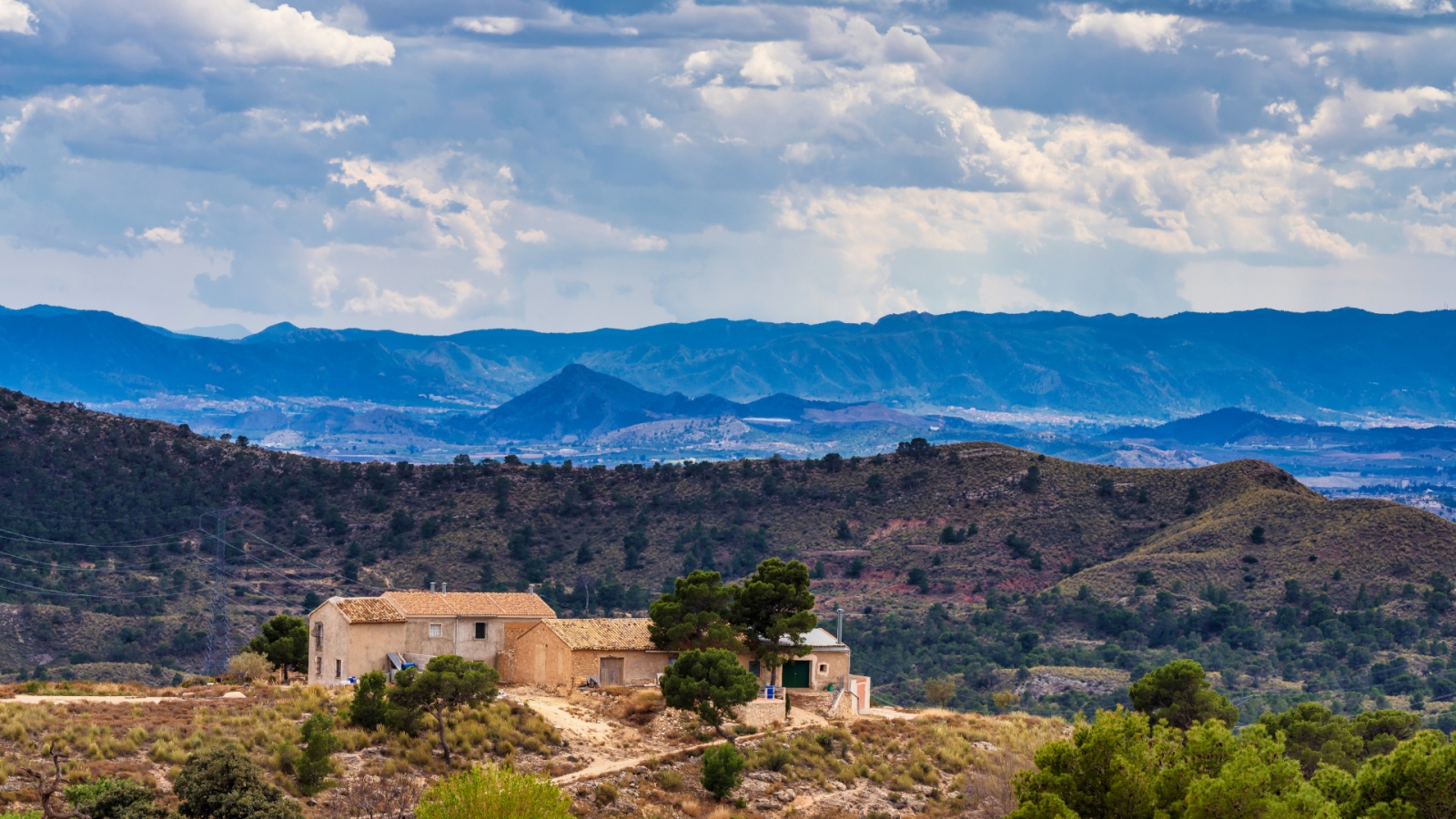 shutterstock 1584200245 - Barinas