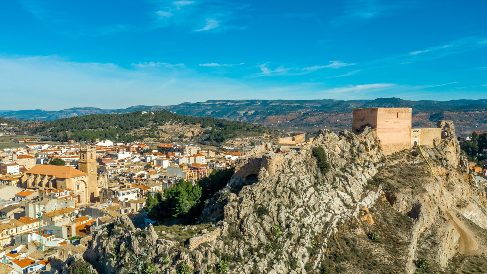 shutterstock 1628025562 - Ayora