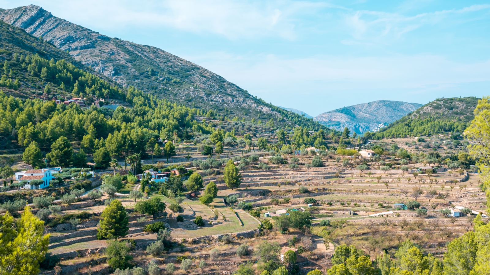 shutterstock_1800783508 - Jalon