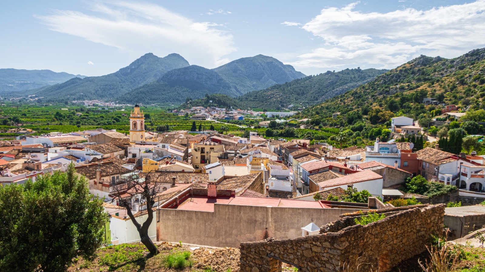 shutterstock 1974337148 - Benimeli