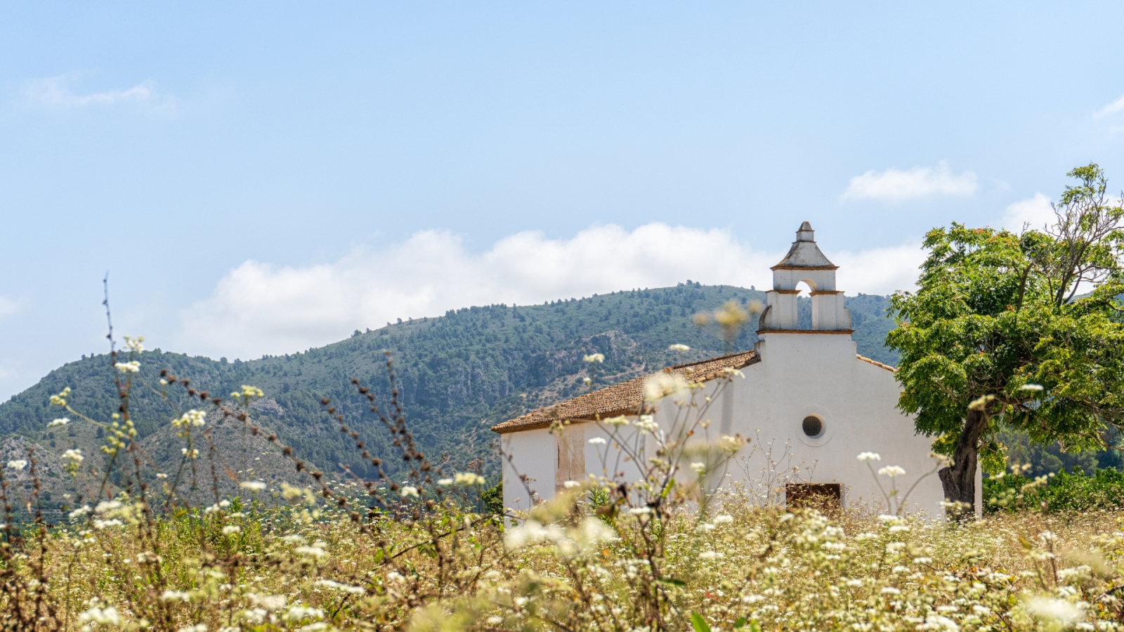 shutterstock 2001460211