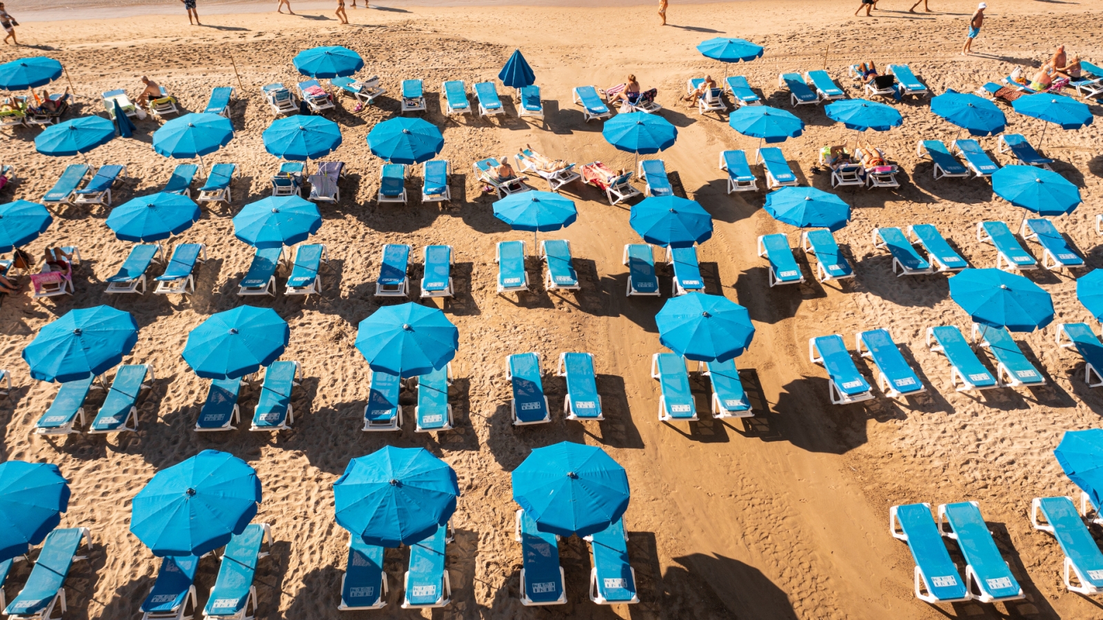 shutterstock 2064942278 - Benidorm