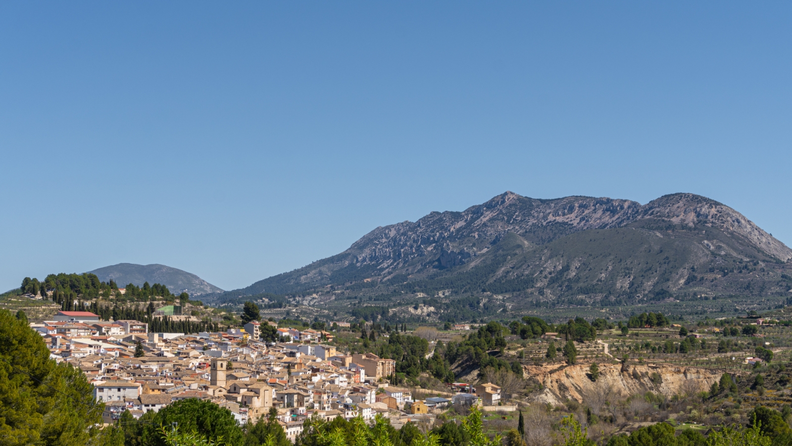 shutterstock 2142066453 - Bolulla