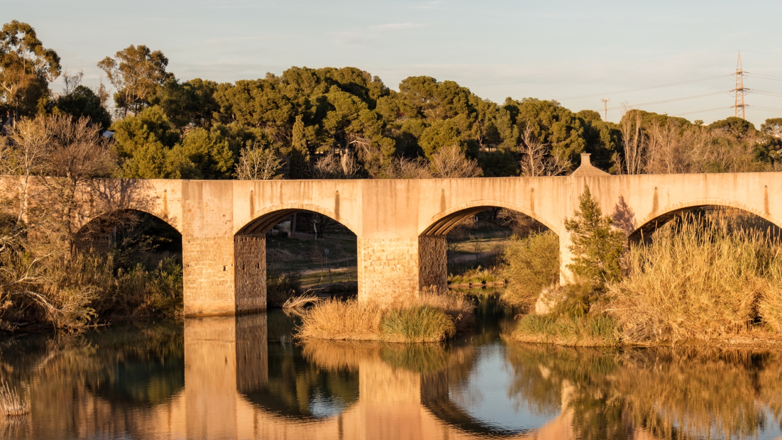 shutterstock 1056337184 - Almazora