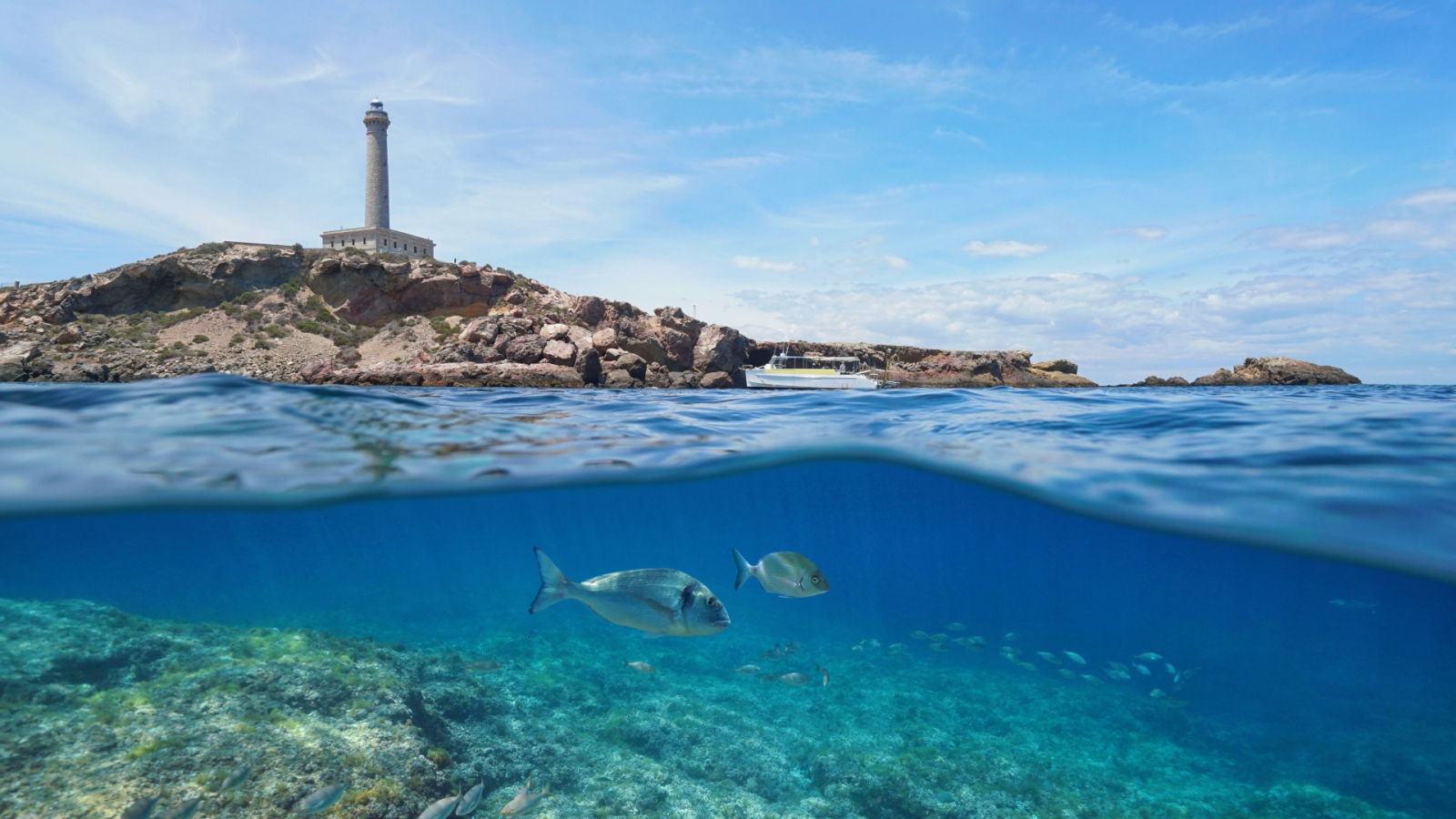 shutterstock 1230809857 - Cape Palos