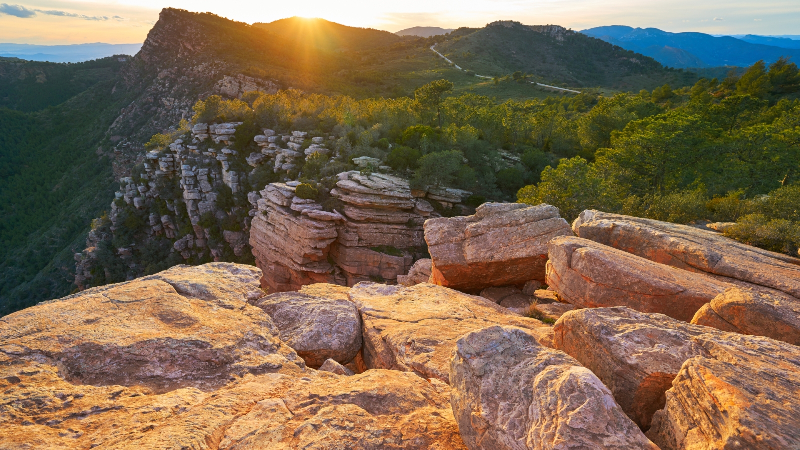 shutterstock 1269235510