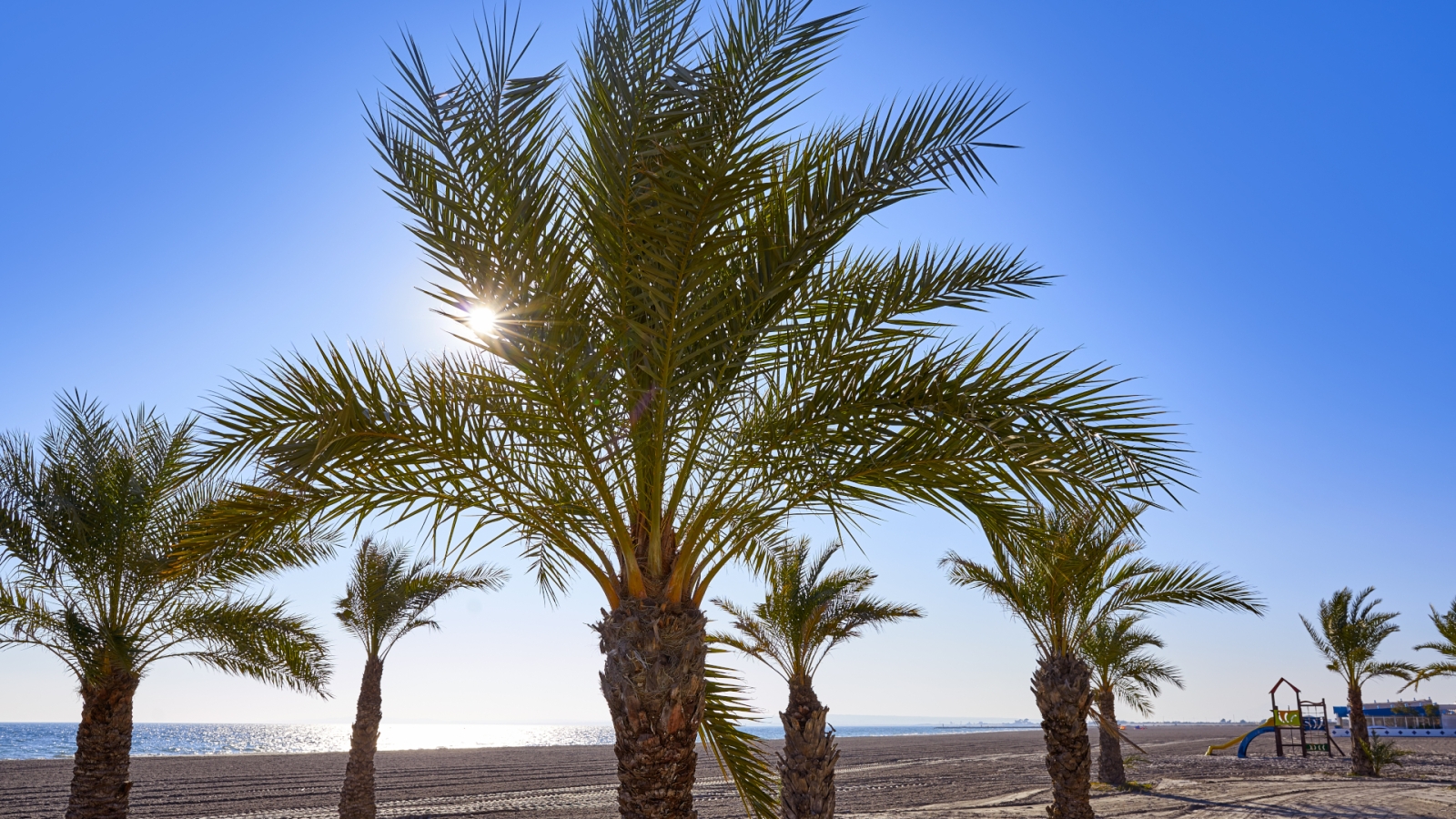 shutterstock 1289020660