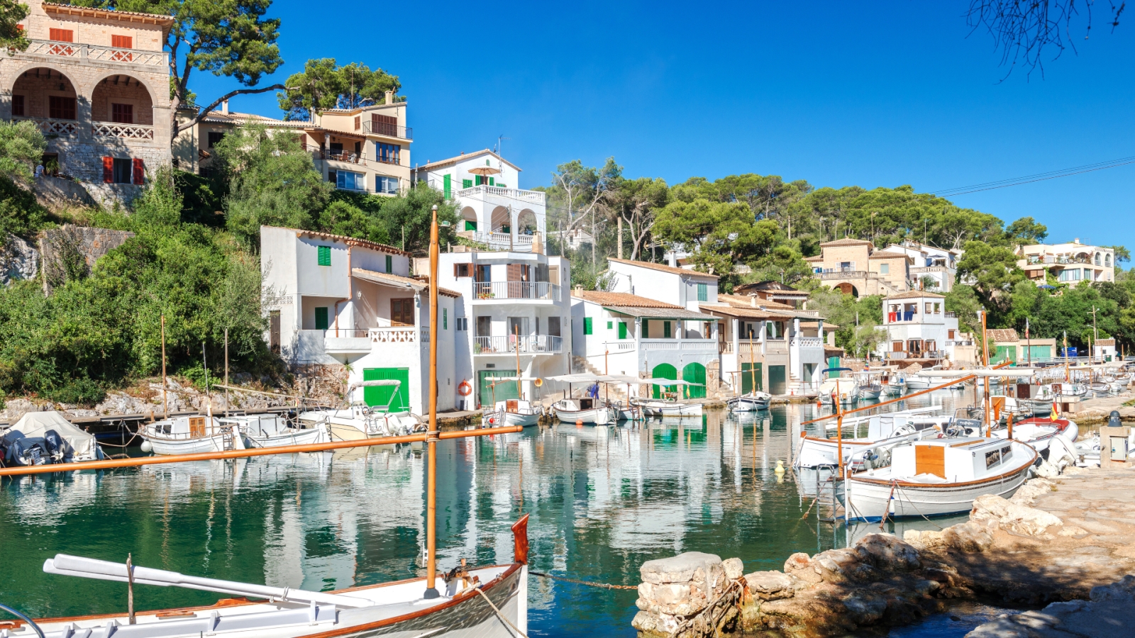 shutterstock 1379698223