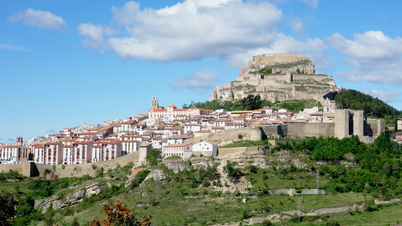 shutterstock 1405562225 - Morella