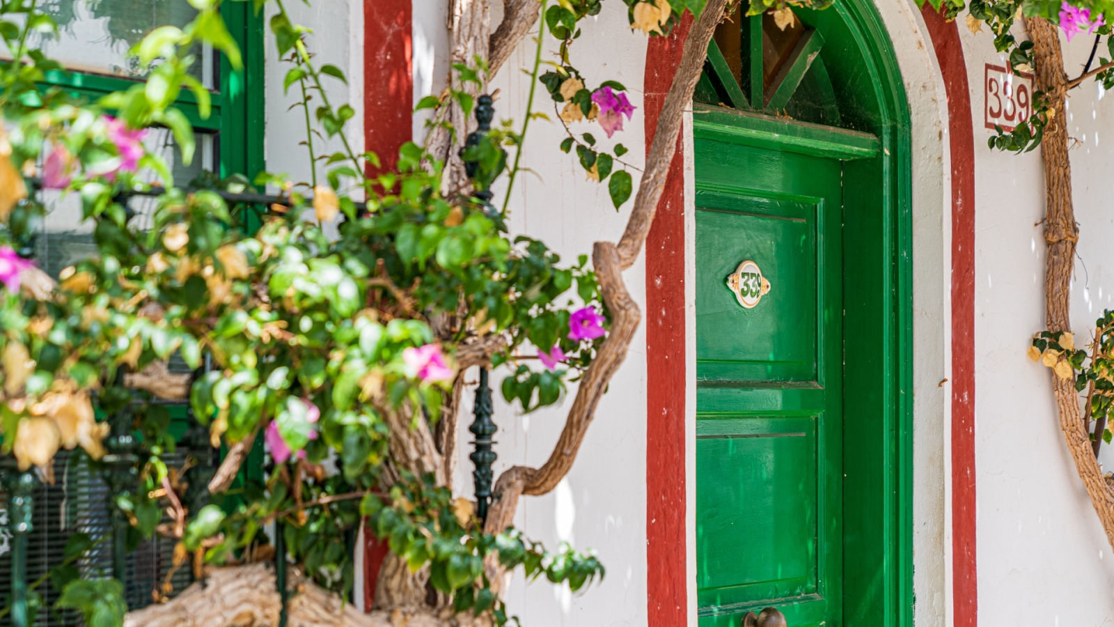 shutterstock 1582203475