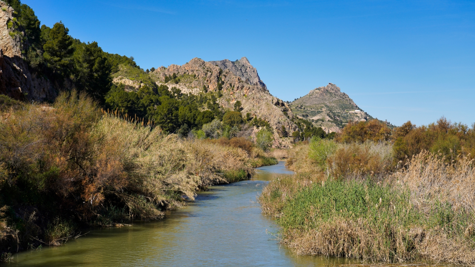 shutterstock 1681287142