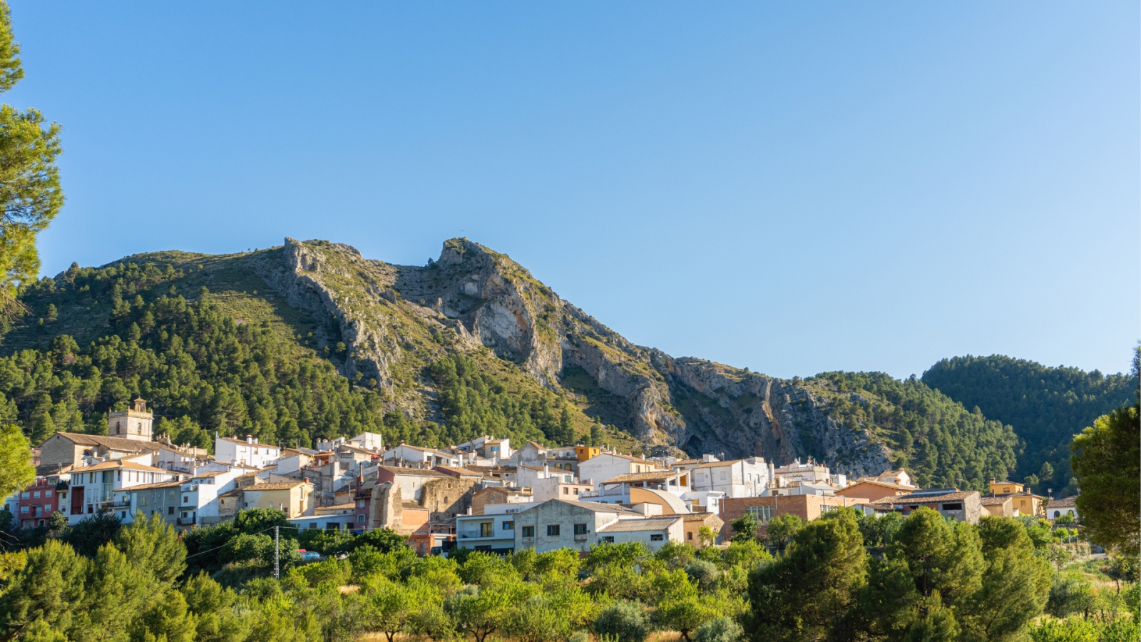 shutterstock 1997960075 - Penaguila