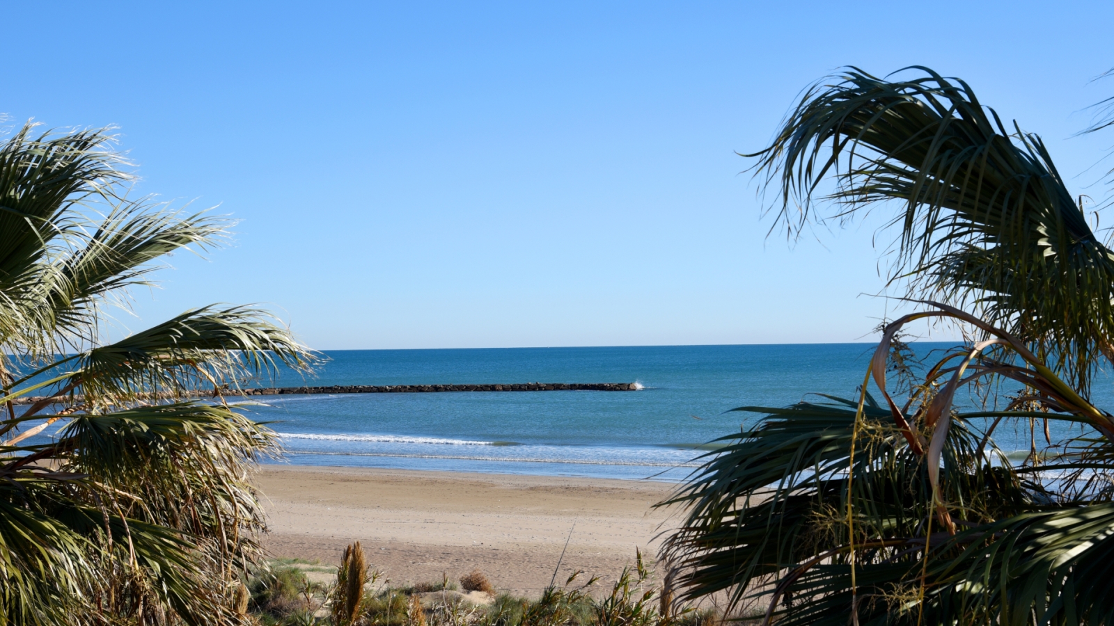 shutterstock 2110369295