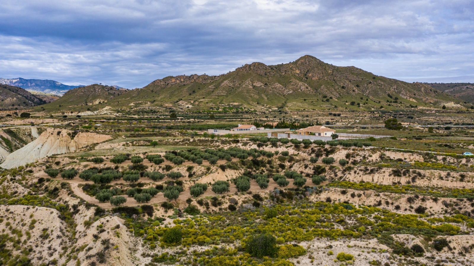 shutterstock 2141418305