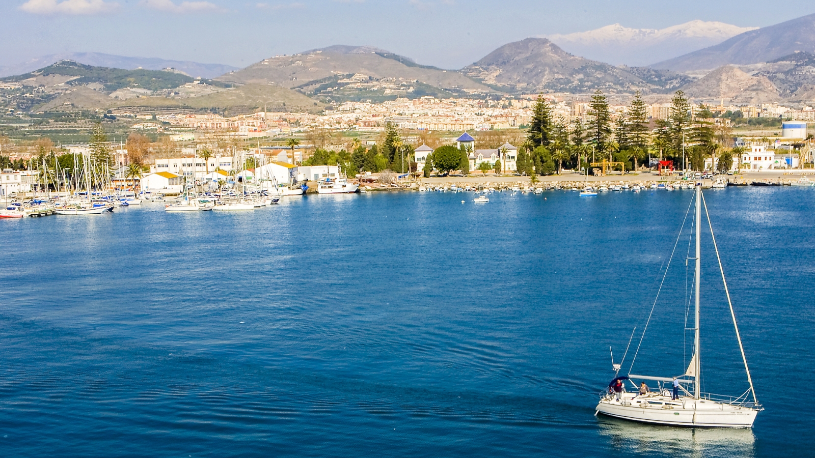 shutterstock 546554935