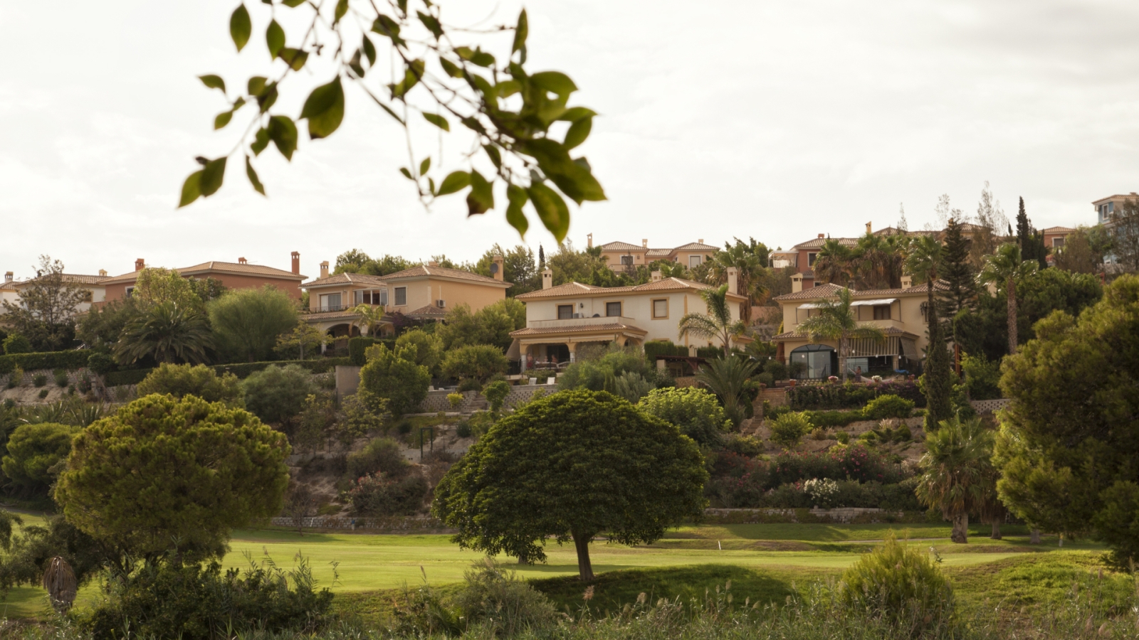 shutterstock 639157630 - Mutxamel