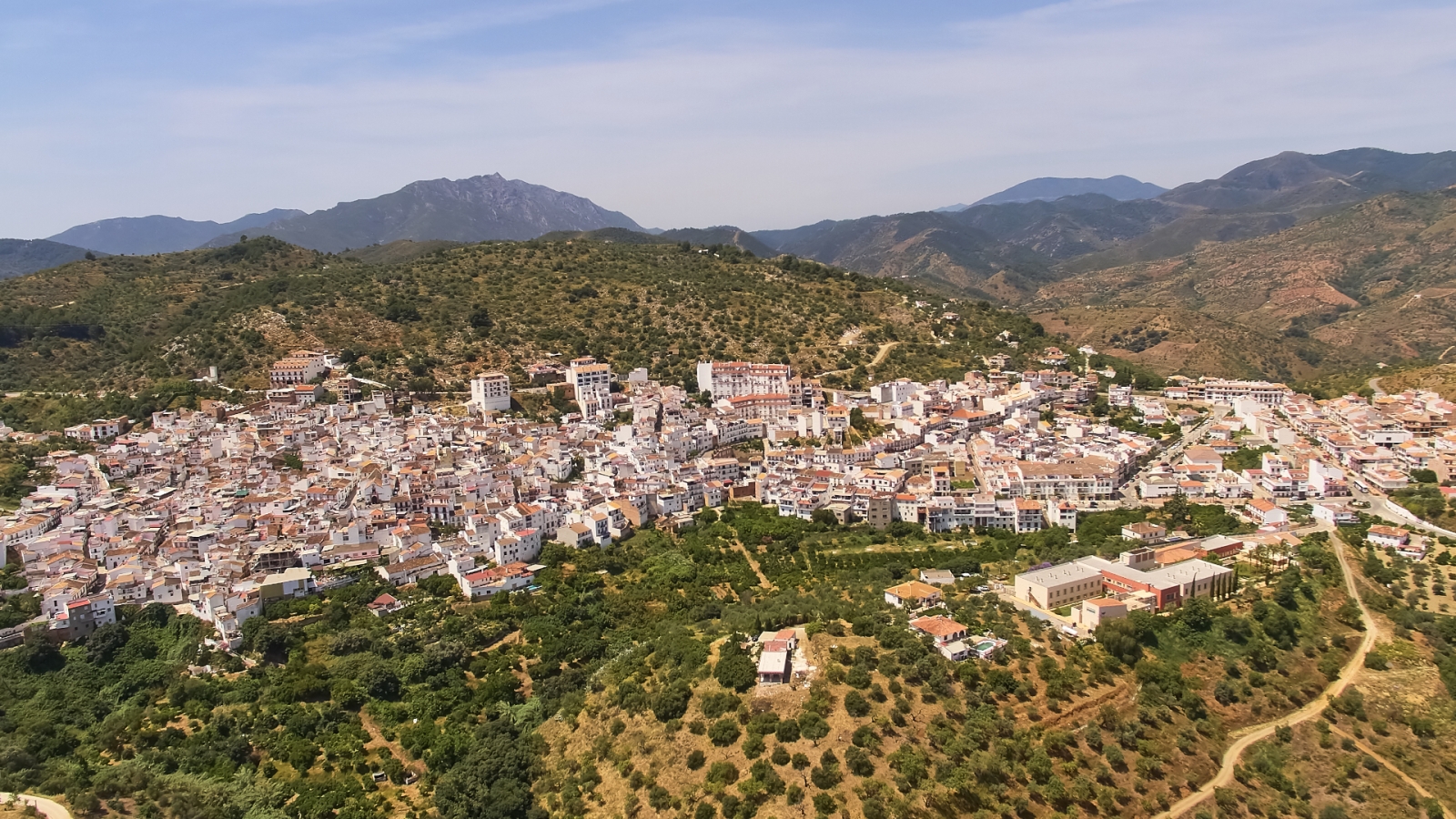 shutterstock 648396925 - Guaro