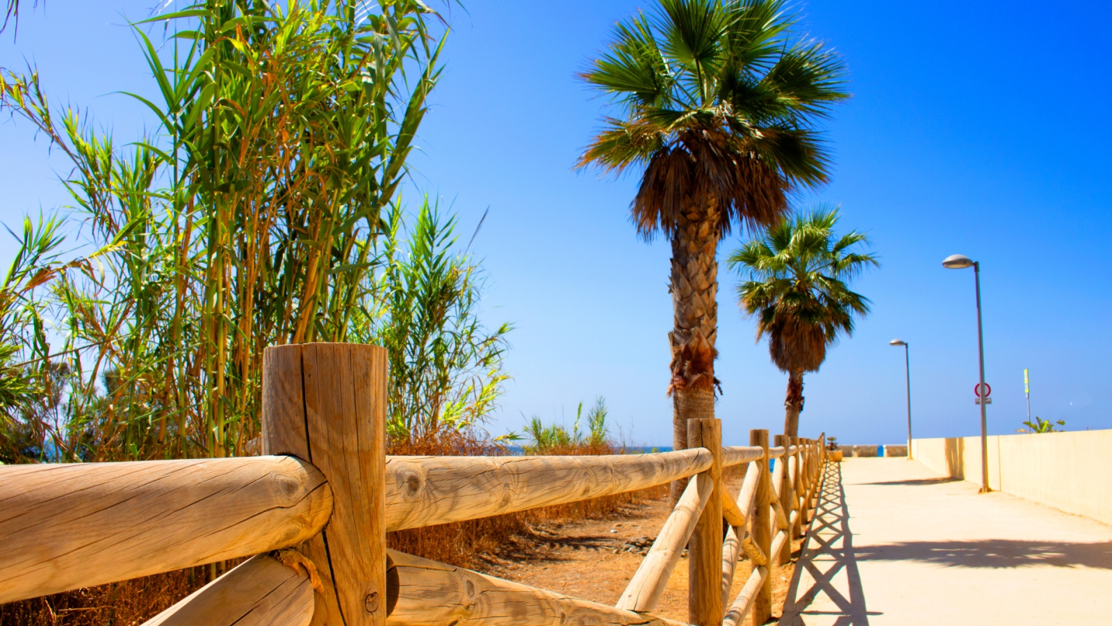 shutterstock 682504561 - San Pedro Alcántara