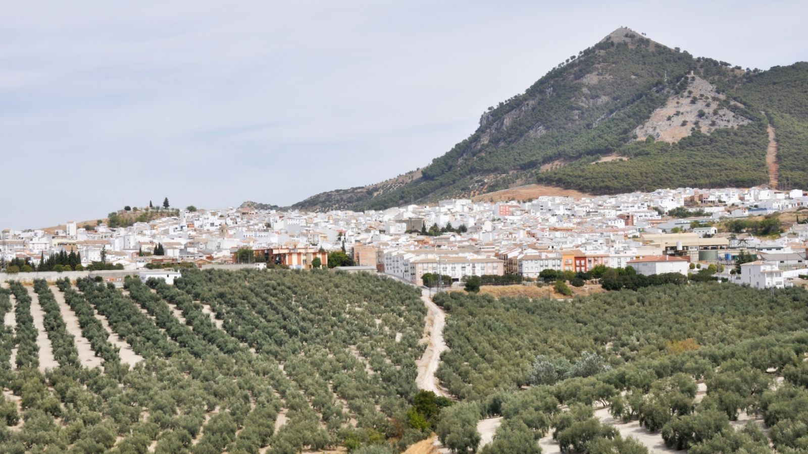 shutterstock 116379913 - Rute