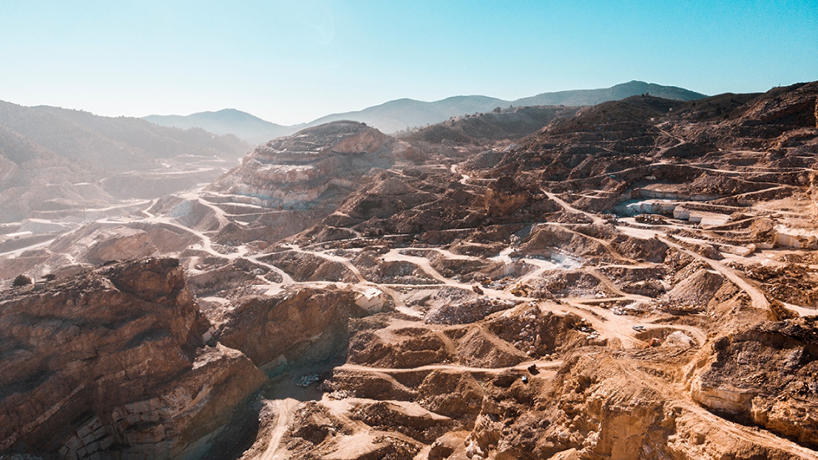 shutterstock 1259539810