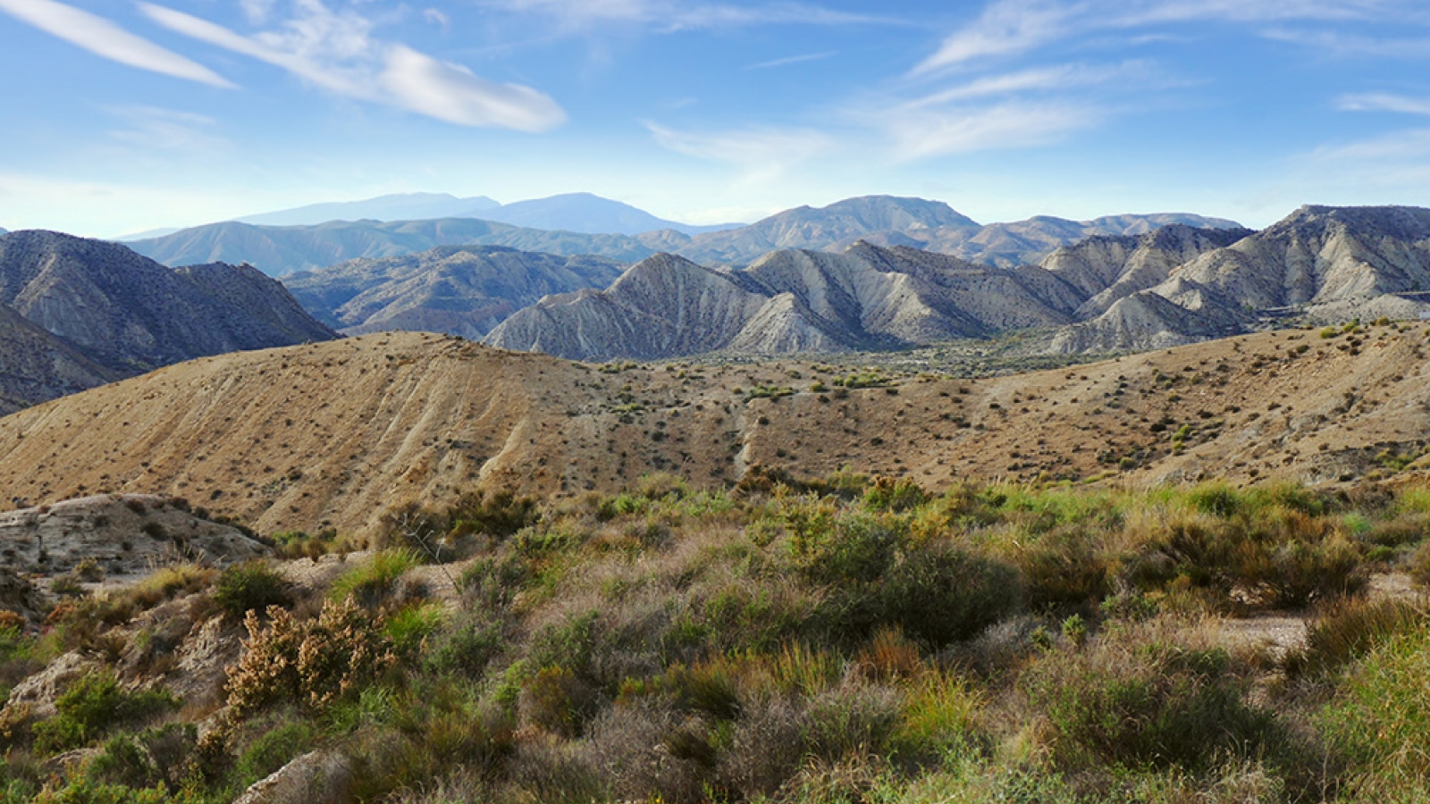 shutterstock 1345643873