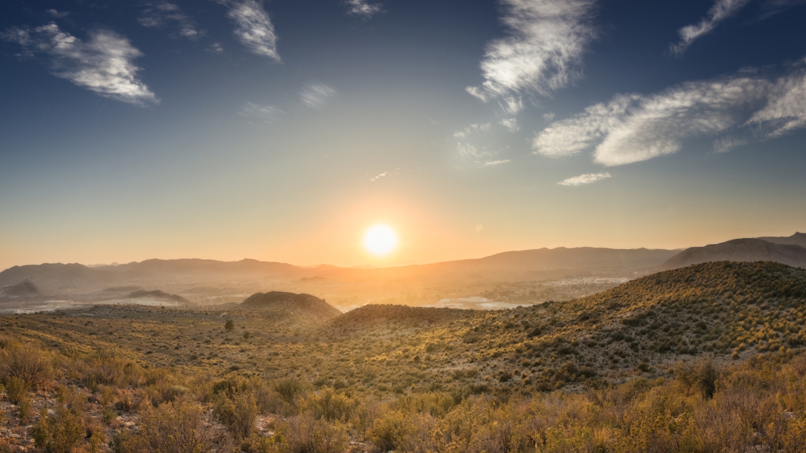 shutterstock 1450203830 - Elda