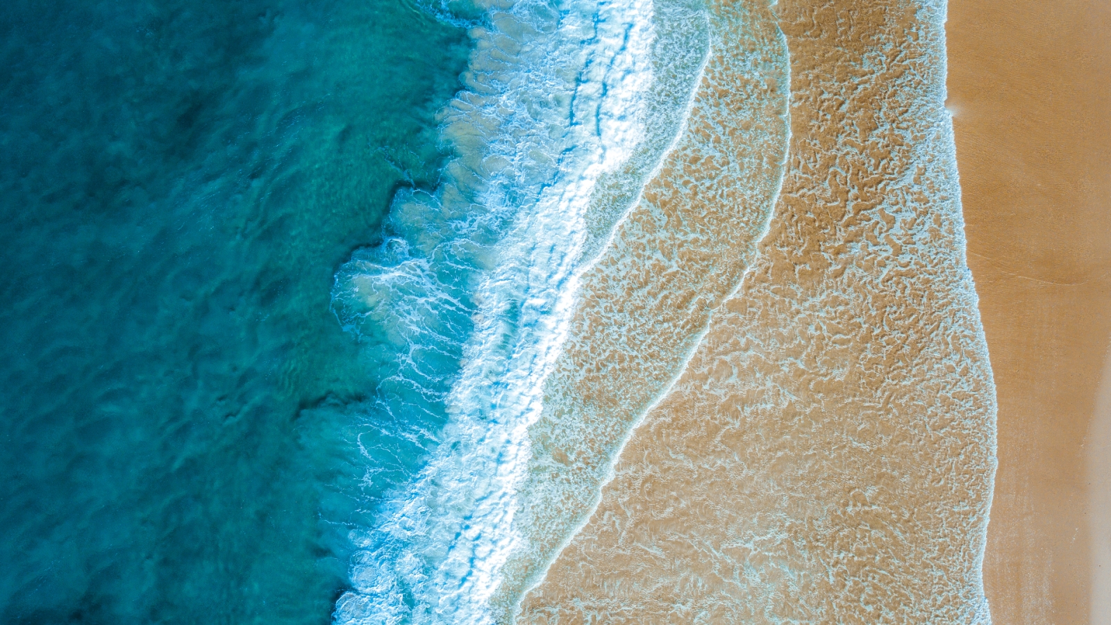 shutterstock 1696968400