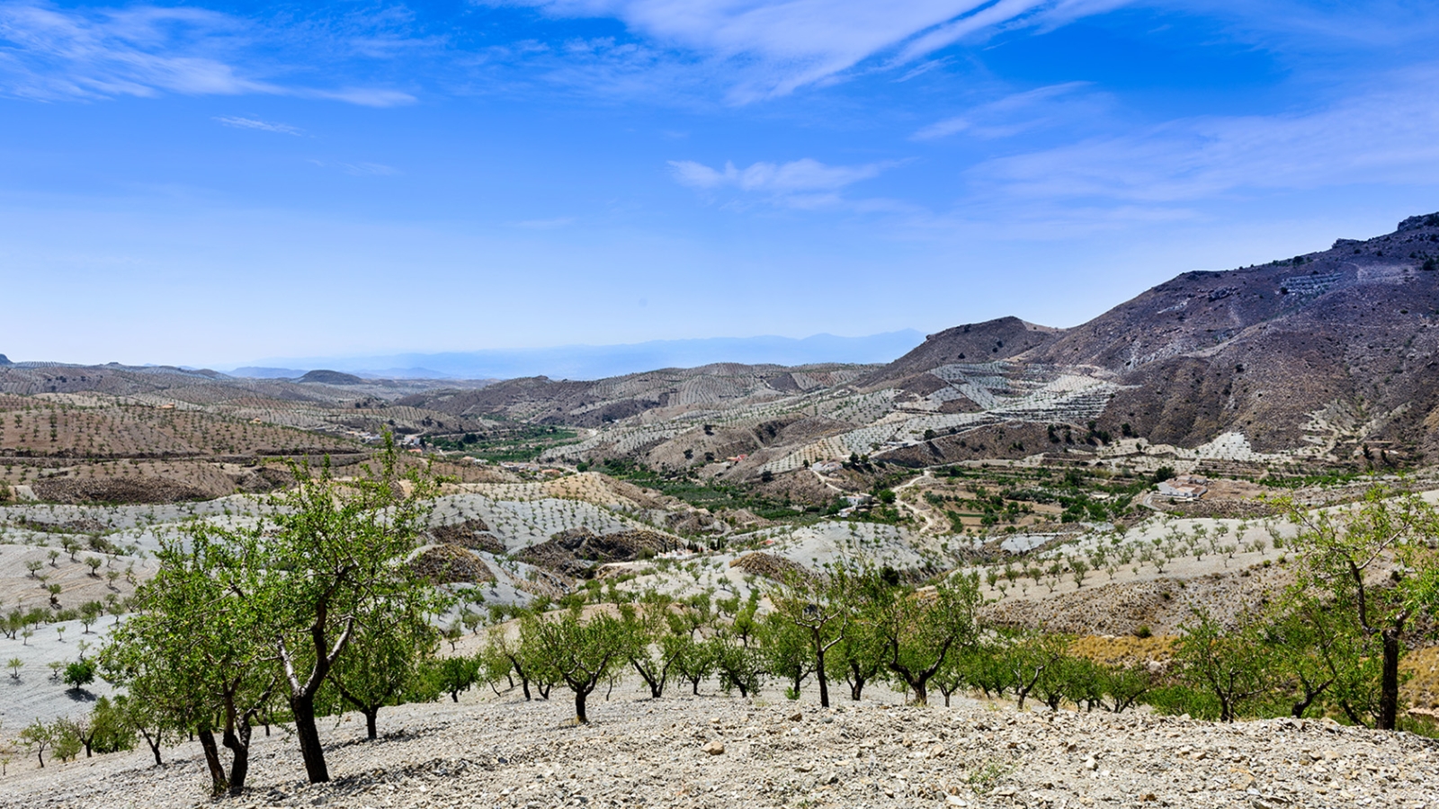 shutterstock_197054810