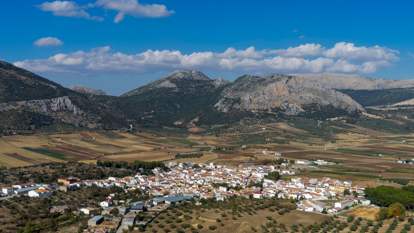 shutterstock 2060740367