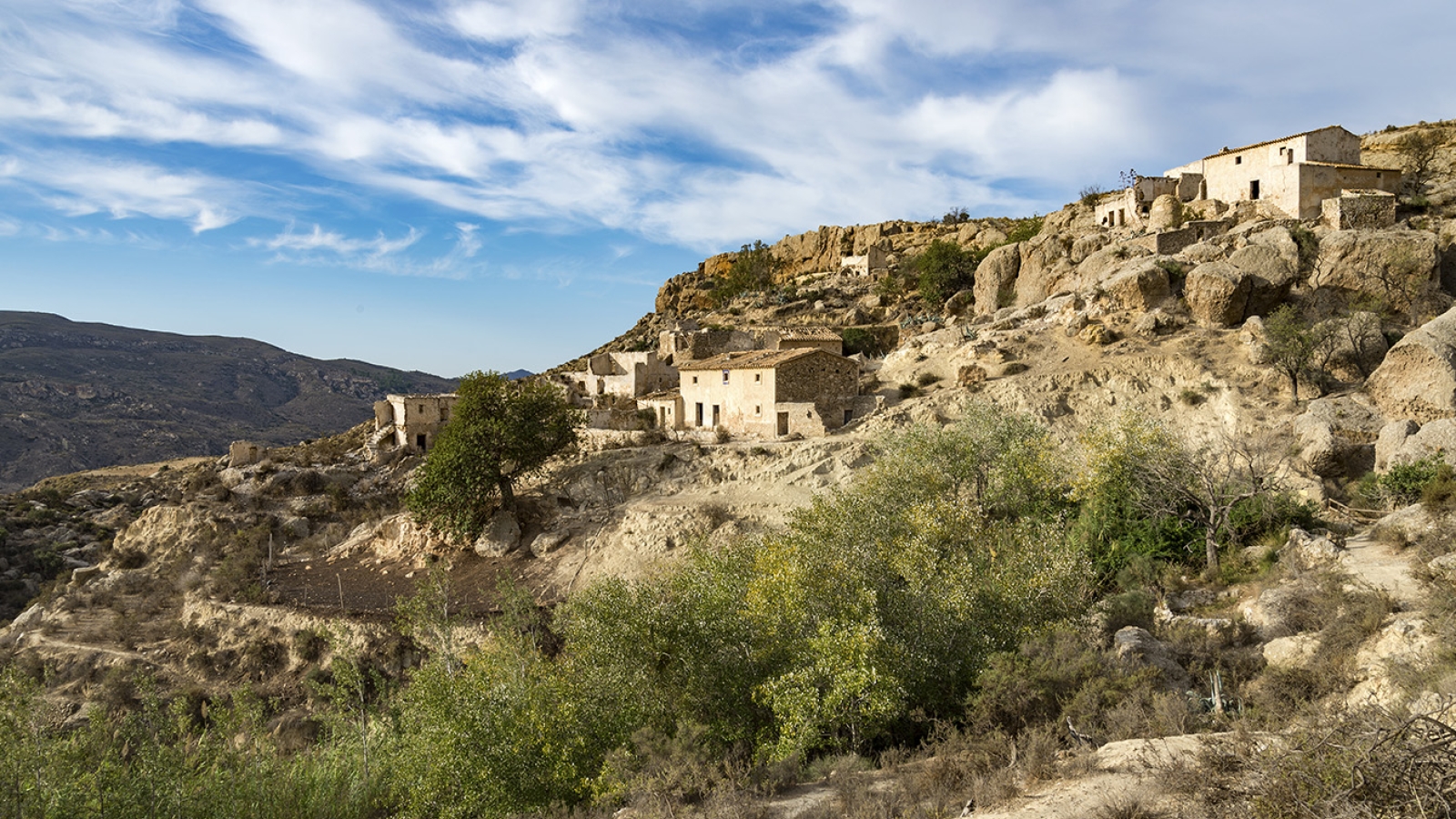 shutterstock 493624564