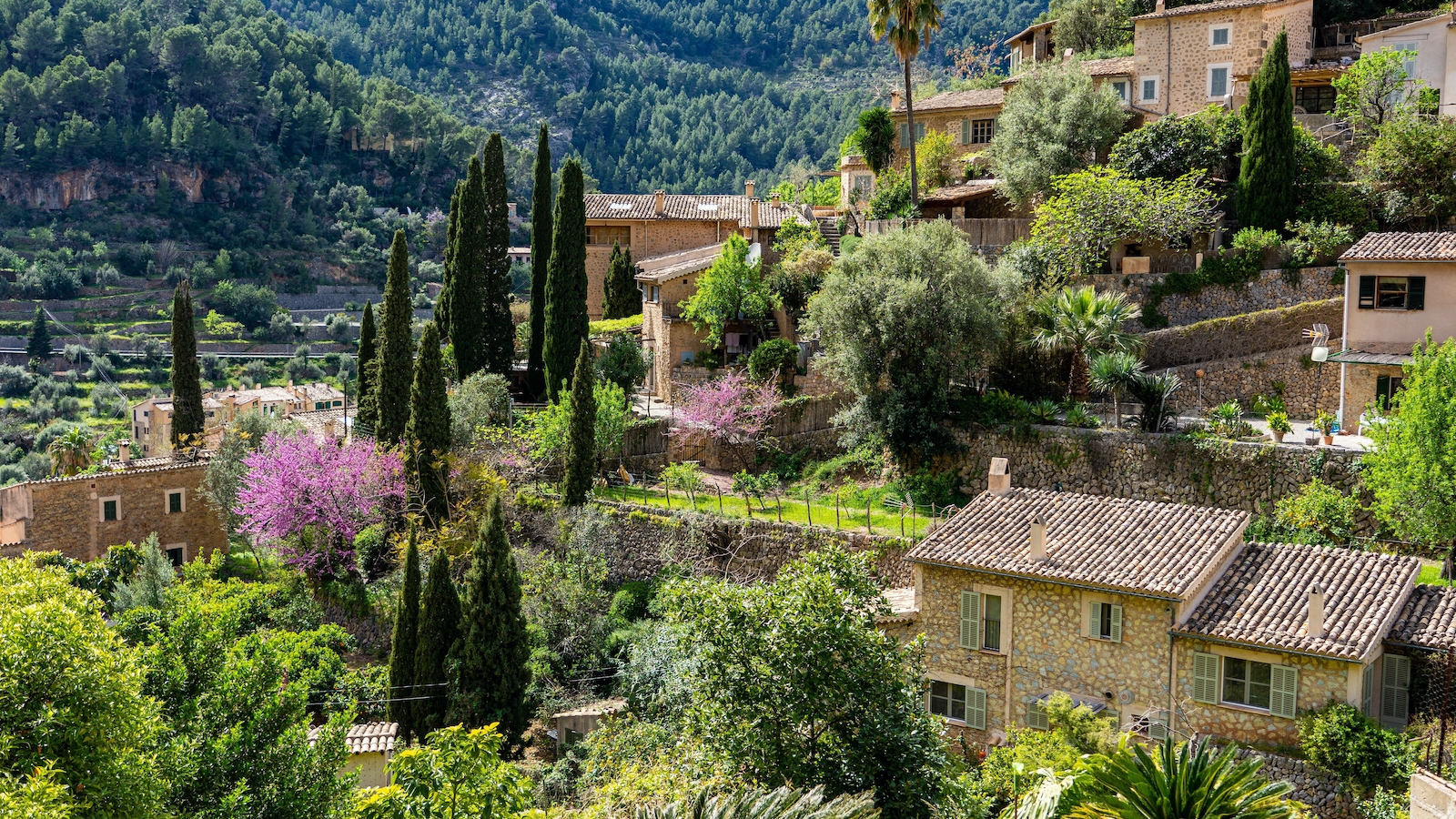 Shutterstock_2132458805